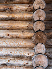Log house wall background. Construction of a wooden eco-friendly house from natural materials. Pattern and texture of wood masonry