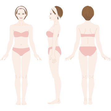 ［Full-body illustration of a woman］ This woman's body has an unbiased center of gravity. The body with conspicuous joints.She is wearing underwear.Front, Side, Rear view.