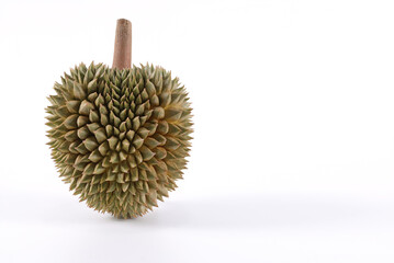 durian close up photo on a white background. fragrant fruit Yellow meat, delicious, Mon Thong...