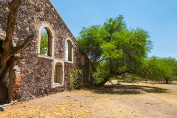Fototapeta na wymiar anciento ruins, windows and tree