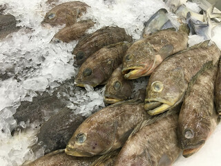 Fresh raw sea Fish (Grouper), sold in the market bazar. The fishes are catch and display on cool ice background.