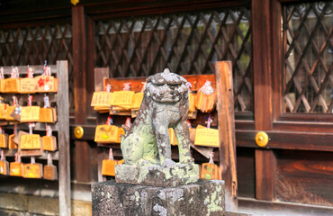 京都、梅宮大社の狛犬