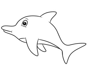dolphin coloring page isolated on white