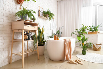 Interior of stylish bathroom with beautiful houseplants