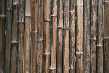 Fototapeta premium bamboo background