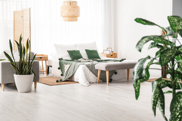 Comfortable bed, soft bench and houseplants in room