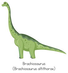 Fototapeta premium Brachiosaurus in green color