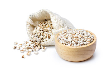 Job's tears (Adlay millet or pearl millet) in sack bag and wooden bowl  isolated on white background.