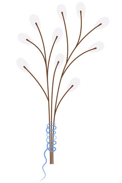 willow branches brown stems white buds clip art preview