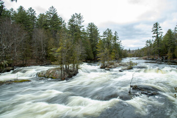 Spring high water at Sidedam Rapids North Frontenac