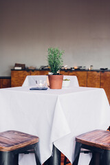 potted rosemary plant on white tablecloth at event