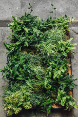 Fototapeta na wymiar wall flowers. green plant display box up against concrete