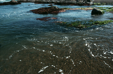 Fototapeta premium 長い冬が終わり、水温む季節、浜風に当たりたくなって海に行った。ぷーんと磯の臭いが漂ってきた。ああ、初夏の臭いだ。潮が引いた岩の上では潮だまりに、まだ小さなイソギンチャクの触手がゆらゆら漂っている。