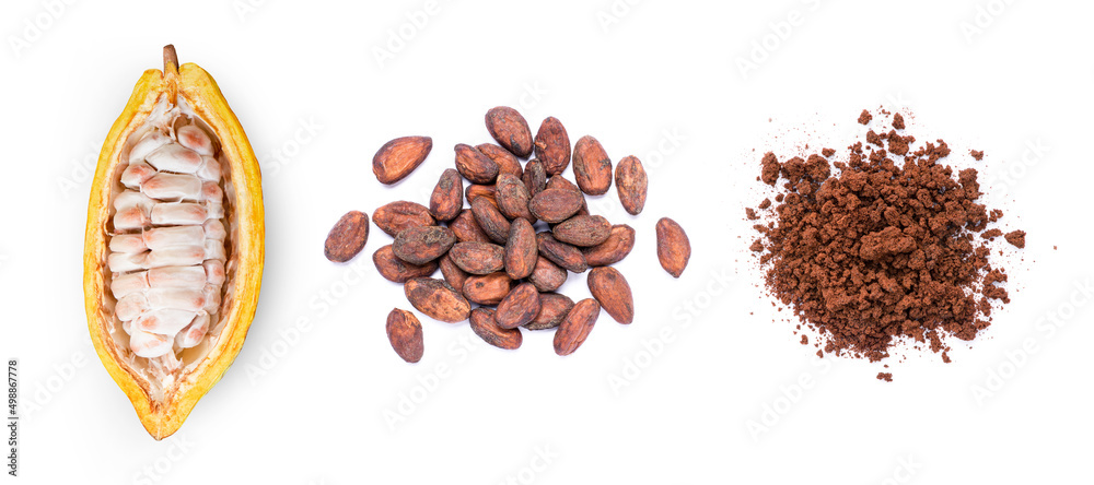 Poster Chocolate ingredients with cocoa beans, chocolate cocoa powder isolated on white background.