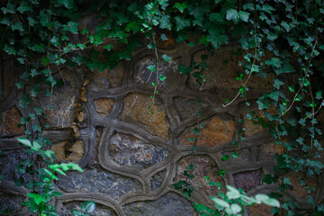 The texture of the stone. Fence made of stones with green leaves and branches. natural background