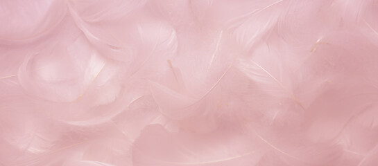 Fototapeta na wymiar Soft Pink Feathers Texture Background. Swan Feathers