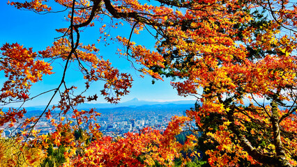 Autumn landscape with mountain, foliage, sky, and city - Mt. Hood and Portland, Oregon, USA	