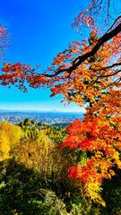 Autumn in my heart - Vibrant view of fall foliage, mountain, sky, and mountain - Mt. Hood and Portland view from far above