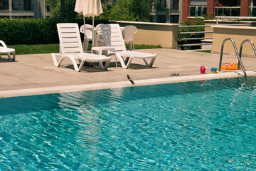 luxury swimming pool