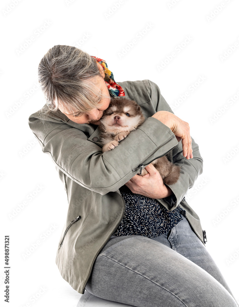 Canvas Prints puppy Finnish Lapphund and owner