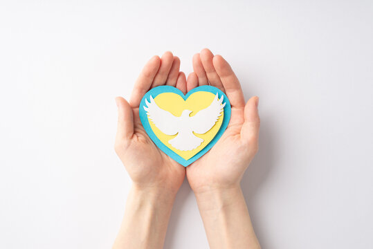 Stop the war in Ukraine concept. Top overhead view photo of female hands holding yellow and blue heart with white dove silhouette on palms on white background