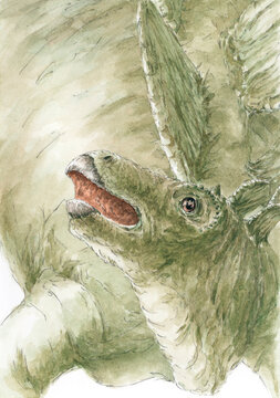 Stegosaurus portrait. Pencil and watercolor on paper.