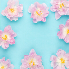 Pink tulips blossom pattern on pastel background.