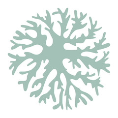 Round lichen, cetraria Icelandic design for logo or icon