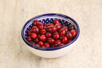 Ripe sweet tasty cranberry in the bowl