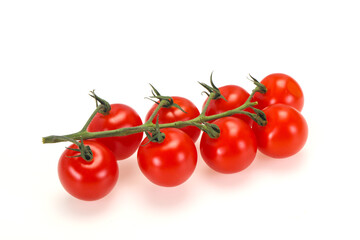 Ripe tomatoes on the branch