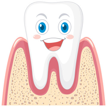 recommend clip art: Happy strong tooth in gum on white background