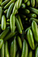 Fresh cucumbers on the counter of the store