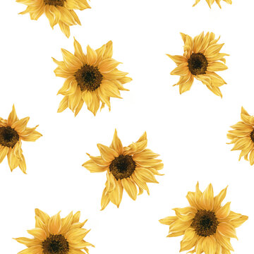 Seamless floral pattern with sunflowers on summer background, watercolor illustration. Template design for textiles, interior, clothes, wallpaper