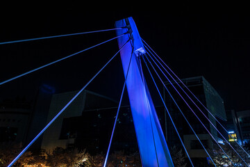 The beautiful night view of over bridge at spring times.