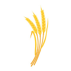 Ears wheat are yellow with curved arc-shaped leaves. Stems of cereal plants, design element.