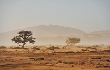 Large distance. Majestic view of amazing landscapes in African desert
