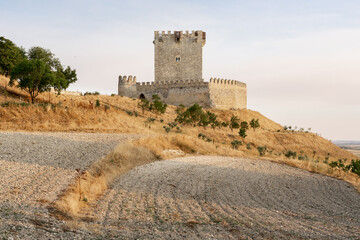 Tiedra medieval castle in the route of the castles in a sunny day, Castilla y León, Spain