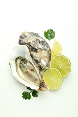 Concept of delicious seafood on white background, oyster
