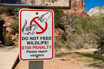 Do not feed the wildlife sign in a park - 498882527