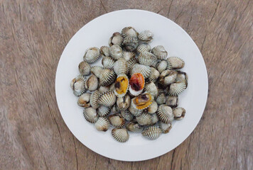 Fresh cockles on a white plate, high protein seafood, nourishing blood, beneficial to the body. (2)