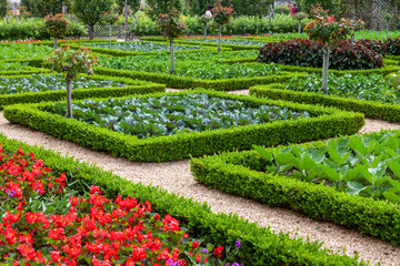 Au potager - Planches et carré de culture de légume entourées de haies de buis taillé