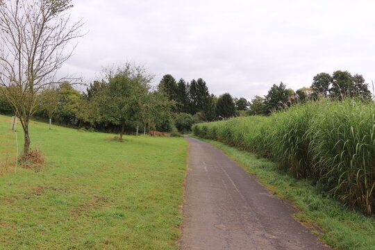 Naturlandschaft bei Karben in Hessen