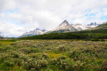 Fototapeta premium Mountain peaks covered with snow and hills with grass and vegetation