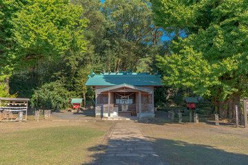 宮浦宮の夏の風景（霧島市福山町）