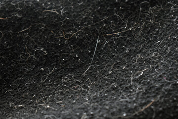 Pet hair and dust on clothes.  Photo can be used for the concept of how to remove pet hair from...