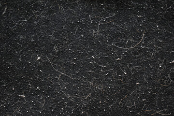 Pet hair and dust on clothes.  Photo can be used for the concept of how to remove pet hair from clothes. 