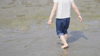 磯遊びする3歳の子供（レジャー・海）