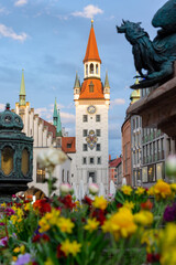old town hall altes rathausin Marienplatz Munich springtime with colorful spring flowers