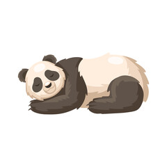 Cute big panda. Panda sleeping. Vector cartoon illustration.