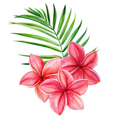 Fototapeta na wymiar Tropical palm leaves and plumeria frangipani flowers. Watercolor illustration